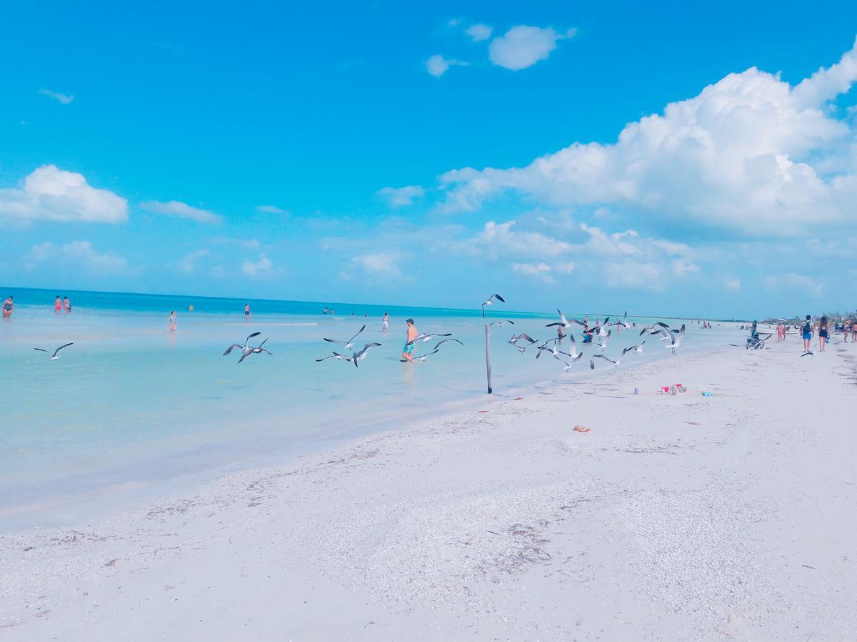 Hostel La Isla Holbox Kültér fotó
