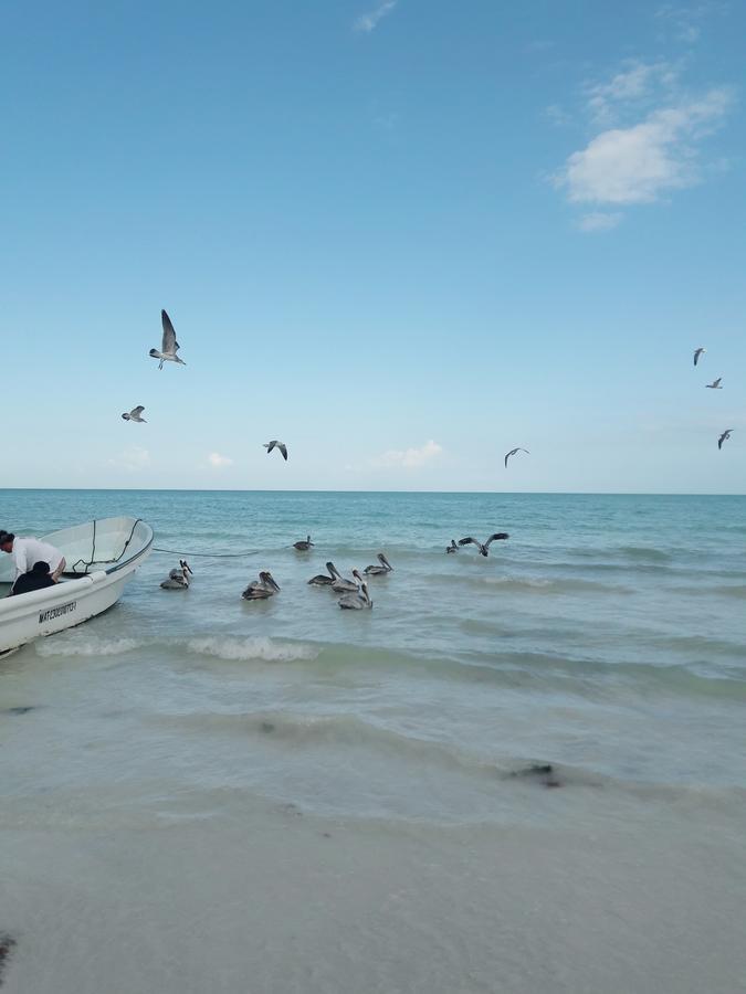 Hostel La Isla Holbox Kültér fotó